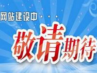紧张建设中,敬请期待
