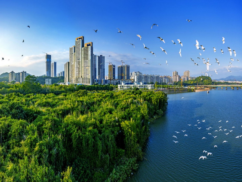 广州市增城区高规格推行林长制 勾勒林业发展新蓝图 谱写生态保护新篇章