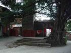 土江村单屋