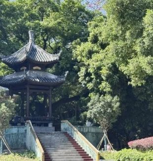 解读:湛若水在广州市增城区荔城街凤凰山上留下五言古诗《宿凤凰山栖凤窝》