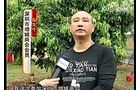 增城商会同乡慈善观光