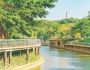 美丽嬗变:广州市增城区荔城街百花涌 从黑臭河涌到生态碧道 生态画卷跃然眼前
