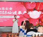 广州市增城区仙村镇仙基仙进奉荔枝产量大幅提升 荔枝传承与创新撬动致富梦