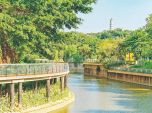 美丽嬗变:广州市增城区荔城街百花涌 从黑臭河涌到生态碧道 生态画卷跃然眼前