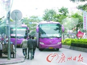 增城新塘行政不作为导致两百辆野鸡车疯狂拉客卖猪仔？