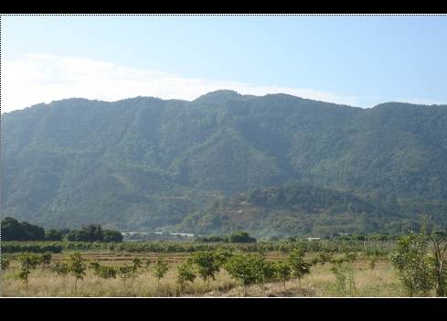 纵览增城南香山,感受新塘文化的崛起