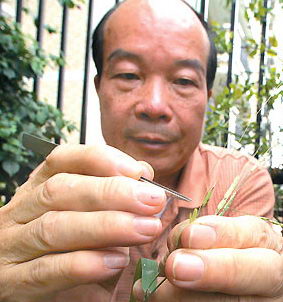 爱岗敬业,勤奋榜样！增城市部分模范人物简介