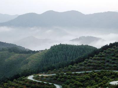 增城市蕉石岭森林公园,荔乡人的白云山