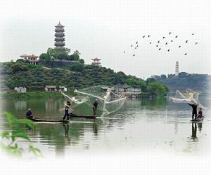 增城新八景，满载荔乡风情