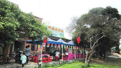 一街便有43种农家乐的增城市莲塘村