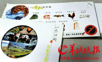 增城“一衣口田”的168元贵价鸡无有机认证,化工厂旁养