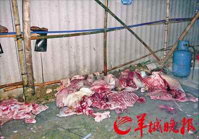 增城市警方查获私宰肉团伙 敌敌畏泡猪肉后出现在大排档餐桌
