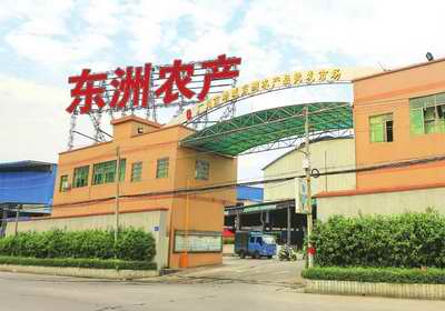 增城市新塘镇东洲市场致力打造高端农产品集散地