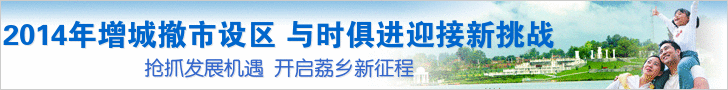 2014年增城撤市设区