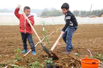 增城市中新镇福和永兴村“纷享田乐CSA菜园”的农村公益模式探索