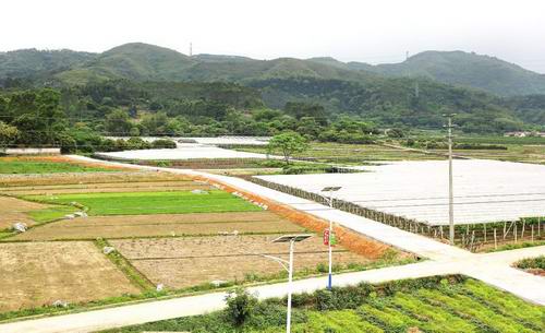 2015年增城市将完成高标准基本农田建设13万亩  四年完成26万亩