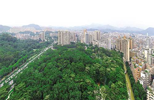 撤市设区后的增城打造“低成本高品质” 带动医疗,教育和人居环境优化