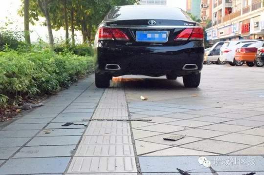 增城区“盲道”被各种占用形同虚设 日常执法涉及多个部门 多头管理困难