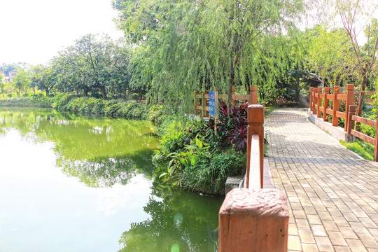 增城区永宁街推进水环境治理 让臭水沟变身“清水溪”  扮靓“美丽城乡”