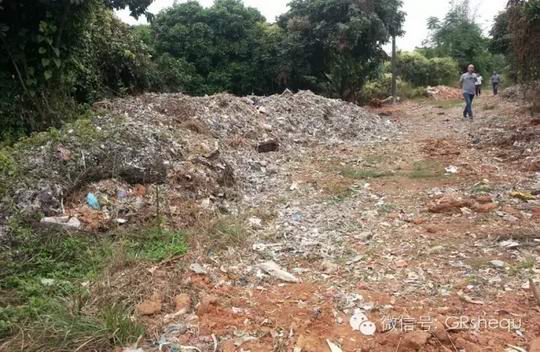 增城区朱村街横塱村道垃圾堆积如山 无法清理竟然因人阻扰 背后为哪般