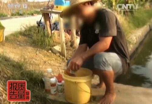 惊叹:央视曝光增城区蔬菜被喷高毒农药 散户菜农施肥打药全靠自己操作