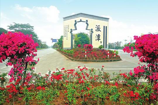 派潭镇创建国家卫生镇通过考评 实现增城区省级卫生镇“零”的突破