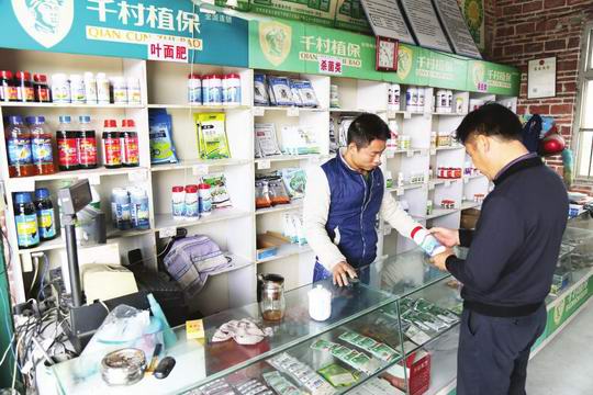 增城区石滩镇强化蔬菜生产安全监管 切实整改为白江村蔬菜品质“正名”