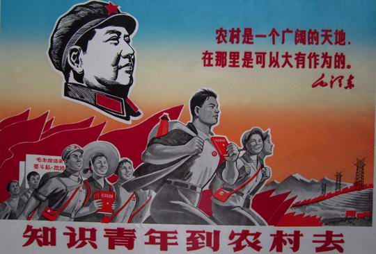 文学结缘的开始:陈乐中回忆在增城区荔城街三联金桔农场的知青岁月
