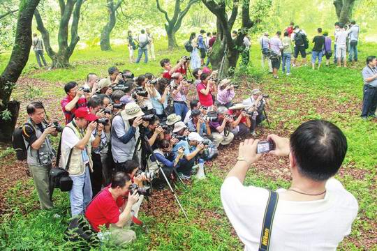 增城区新塘镇获评“粤民间文化艺术之乡” “荔林磋艺”成粤港文化品牌