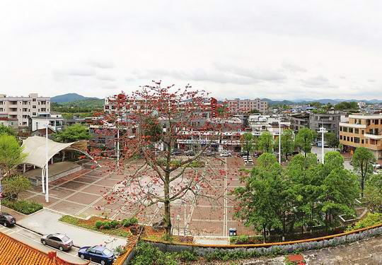 增城区派潭镇围绕建设名镇名村目标 按照宜居宜游宜业标准来发展建设