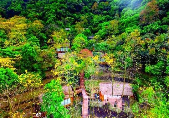 地铁开通绿道连接"万家" 城市青年相中乡村老宅 进驻增城打造梦想民宿