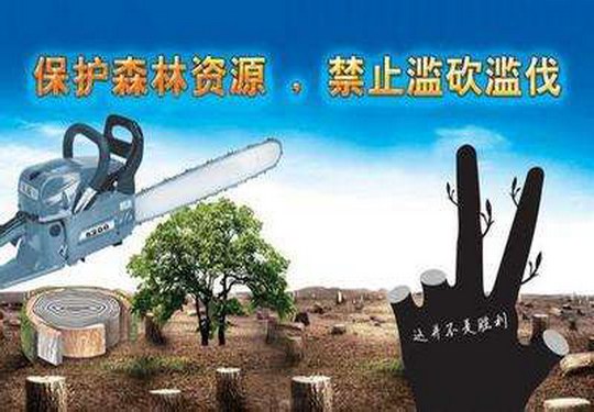 在广州市森林资源保护和发展目标责任制考核中增城区连续三年被评为优秀