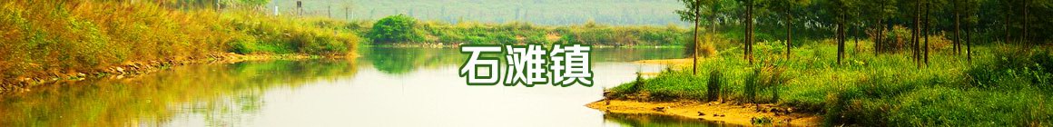 增城,人在他乡