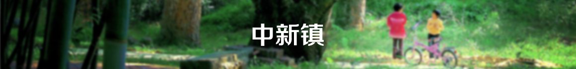 增城,人在他乡