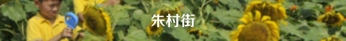 增城,人在他乡