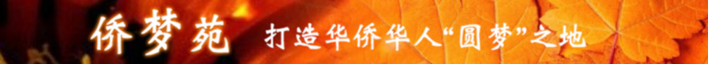 增城,人在他乡