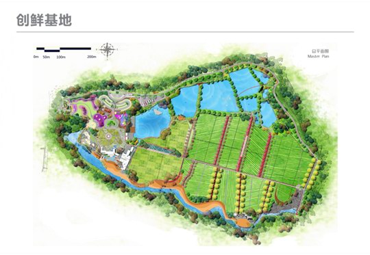 增城的广州创鲜农业发展公司 专业种植岭南特色水果 产量高品质优四季挂果