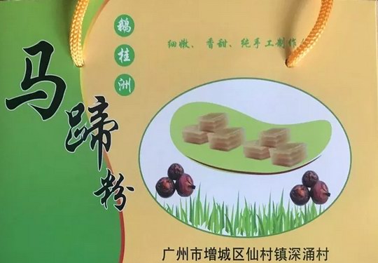 增城区仙村镇深涌村鹅桂洲岛上的马蹄 冲积平原的沃土孕育出肥美可口的美食