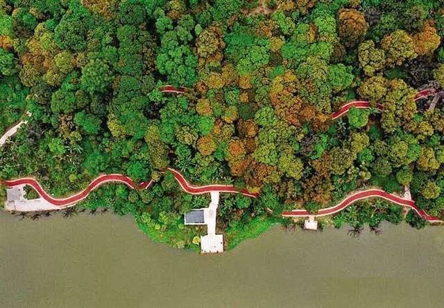 增城区的绿道建设提升 构建人居环境及城市竞争力 构建生态宜居新城