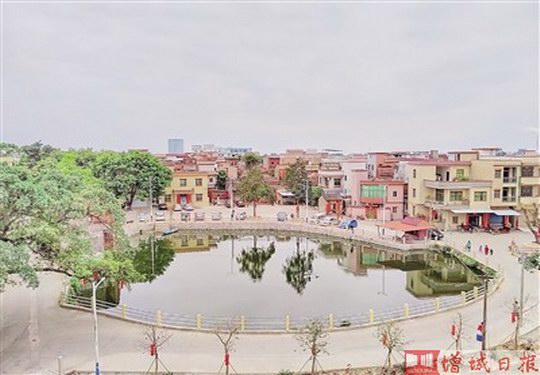 增城区石滩镇岳埔村:致力改善人居环境出成效 绘就美丽岭南水乡新画卷