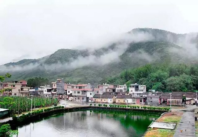 广州市增城区正果镇西湖滩村是绿树掩映的乡村旅游新晋之地