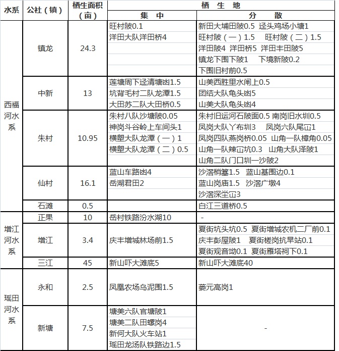 增城区用本地野生稻与栽培稻杂交育成一批优良水稻品种