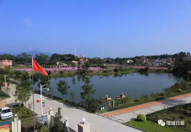 花红果香的增城区增江街大埔围村 变成社会主义新农村的靓丽风景线