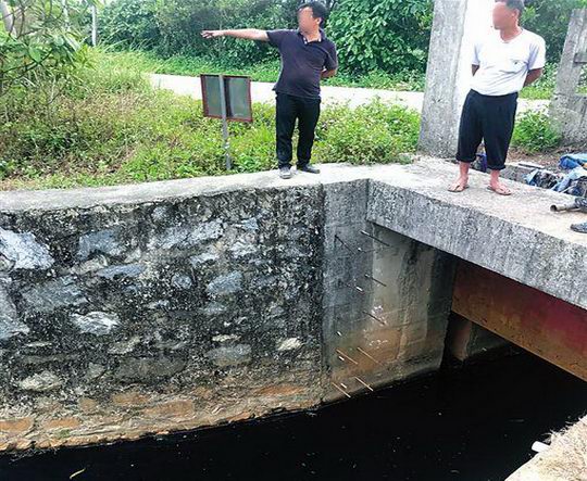 增城区石滩镇岗尾村三家工厂排污污染农田 村民下田耕地后双脚起莫名皮疹