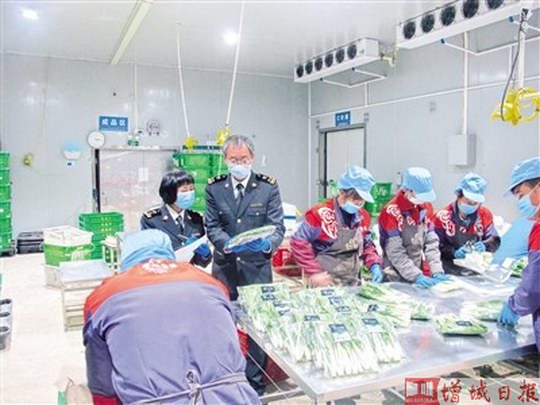 黄埔海关助力 增城菜首次出口新加坡 18种新鲜蔬菜获狮城“签证”