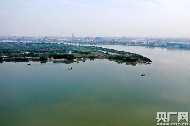东江北干流国考大敦断面水质稳定达标是增城区水环境综合治理的缩影