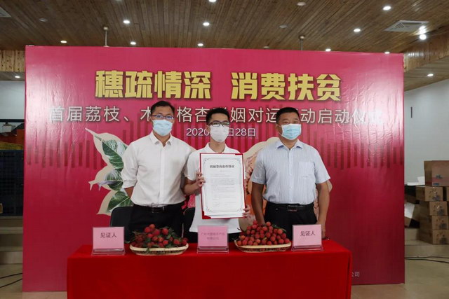 广州增城荔枝与新疆木亚格杏"联姻"对运  满足消费者对高品质水果的需求