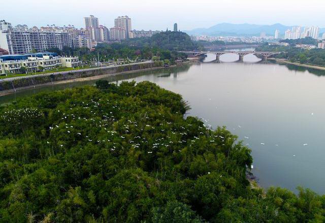 专访增城区荔湖街党工委书记陈一敏:聚焦“双区”发展 建设荔湖新城