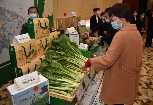 广州市增城区举行"菜心之夜"  共谋增城迟菜心产业发展 共享绿色盛宴的喜悦