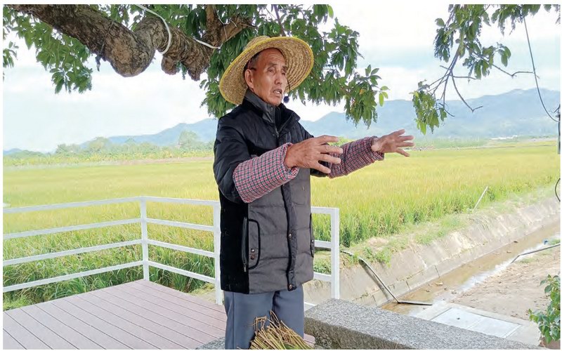 立足特色资源 擦亮产业名片 广州市增城区摸索出独具特色的乡村振兴之路